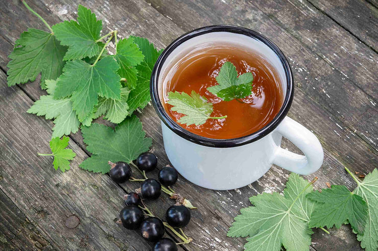 Tasse de tisane de feuilles de cassis