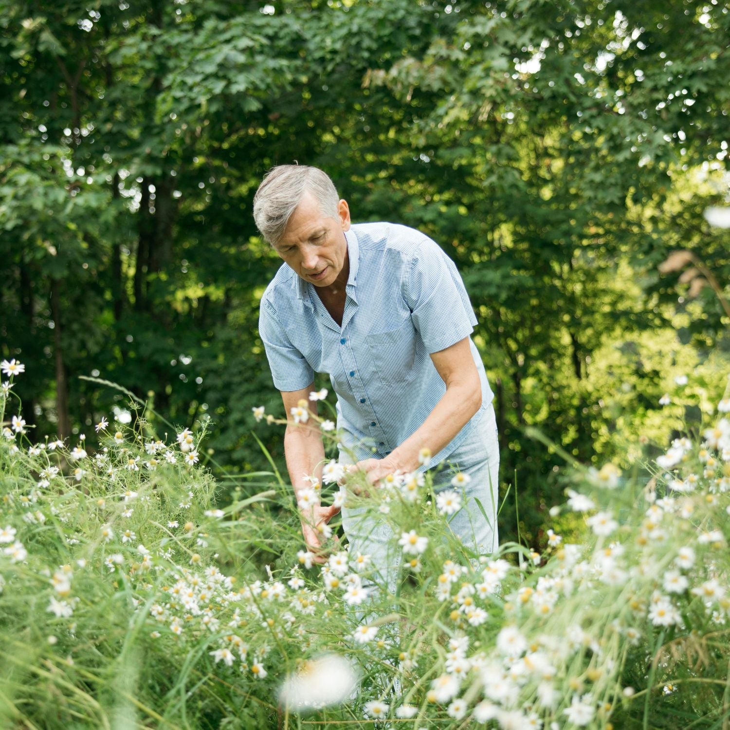 Producteur de plantes dans son champs