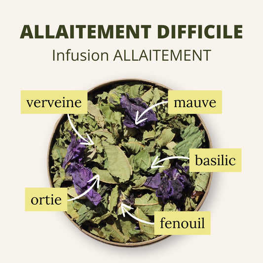 Infusion Allaitement bio