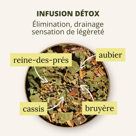 Infusion Détox bio