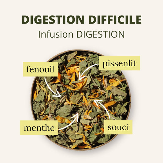 Infusion Digestion bio