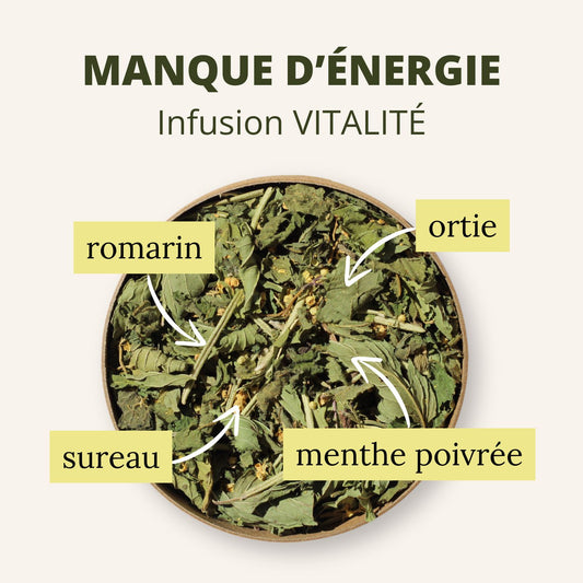 Infusion Vitalité bio