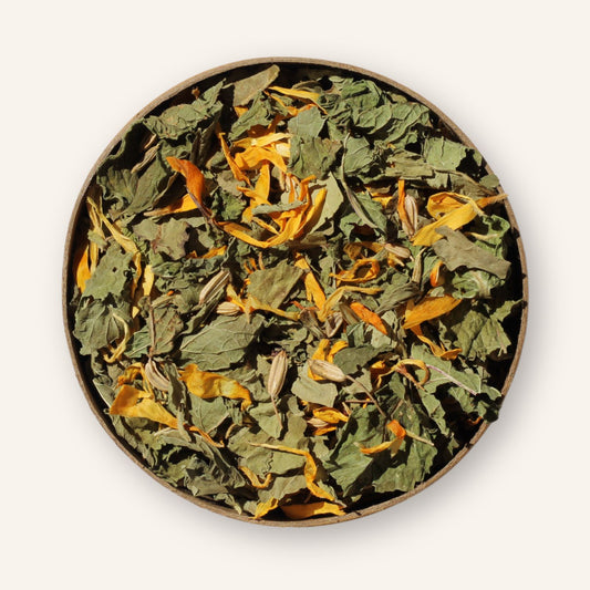 Infusion Digestion bio