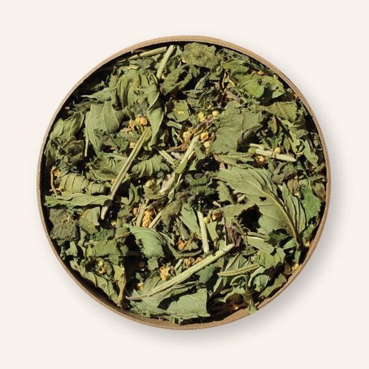 Infusion Vitalité bio