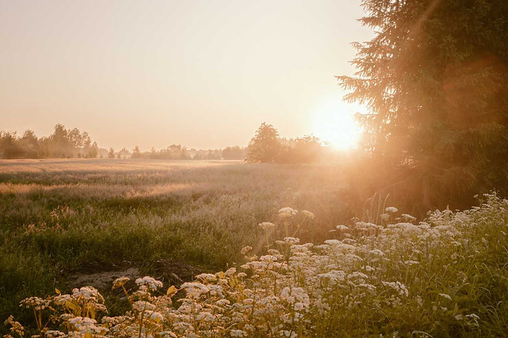 Paysage de coucher de soleil en nature