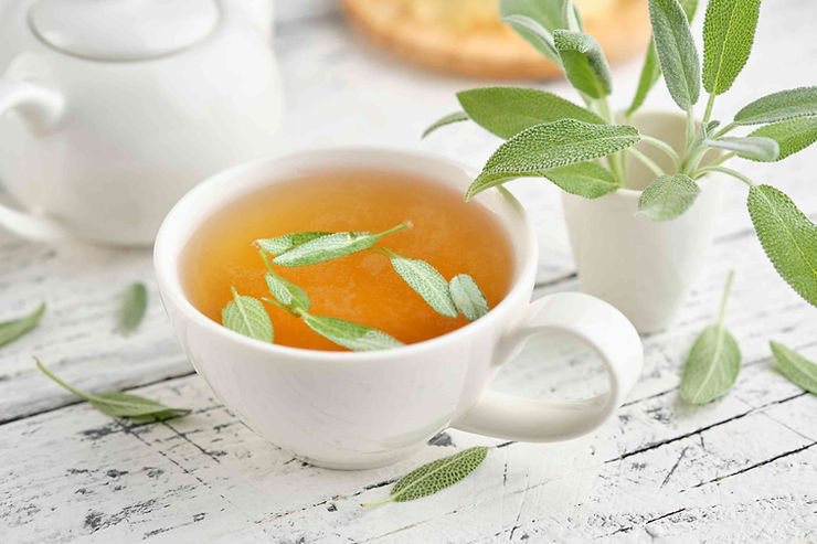 Tisane à la sauge