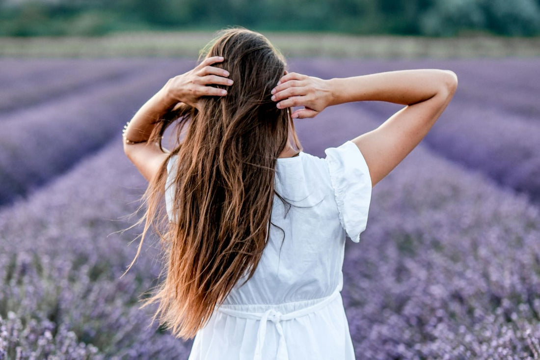 Femme de dos avec de beaux et longs cheveux devant un champs de lavande