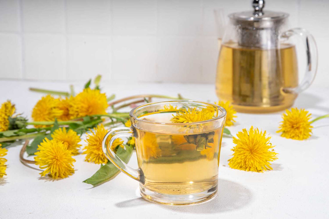 Tisane de pissenlit : bienfaits, préparation et précautions