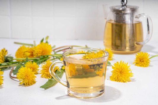 Tisane de pissenlit : bienfaits, préparation et précautions