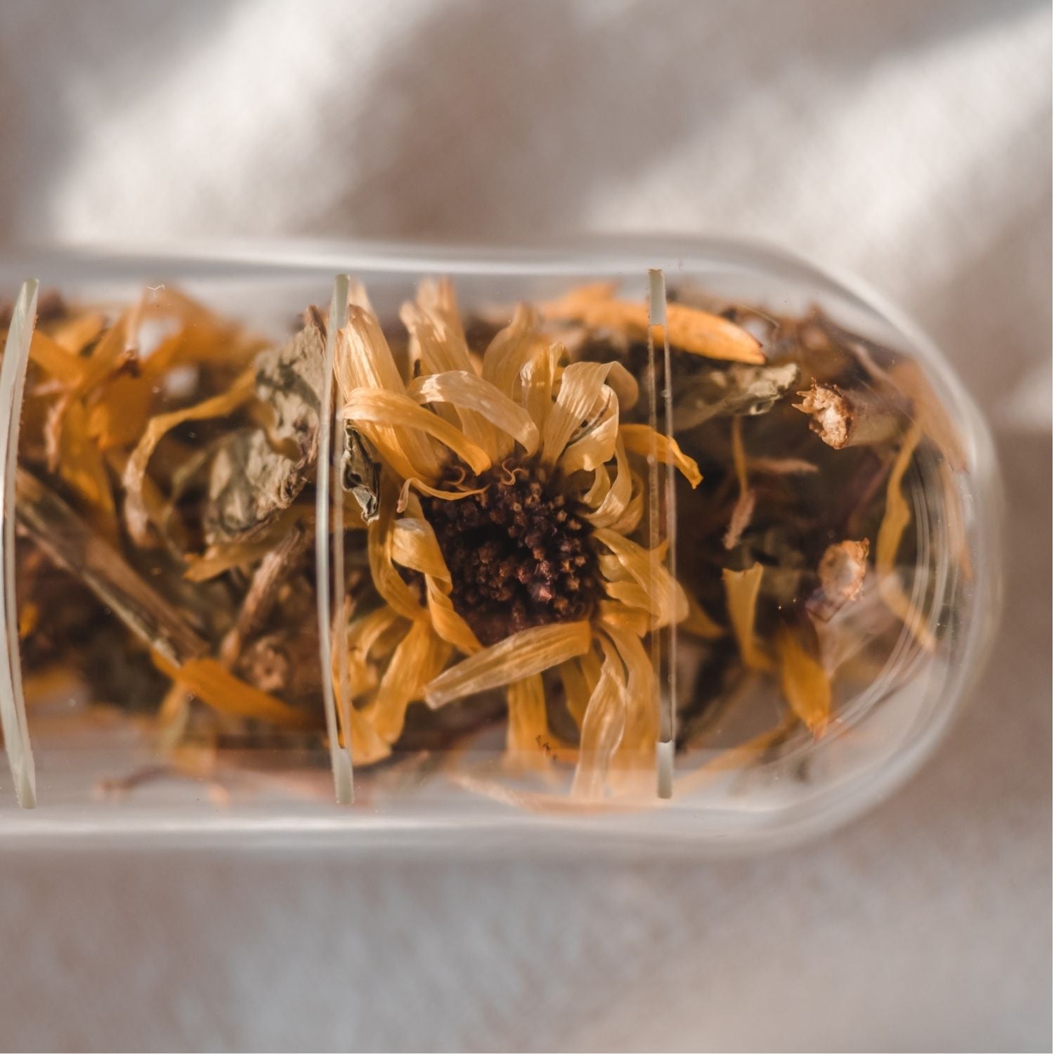 Infuseur en verre – photo en très gros plan