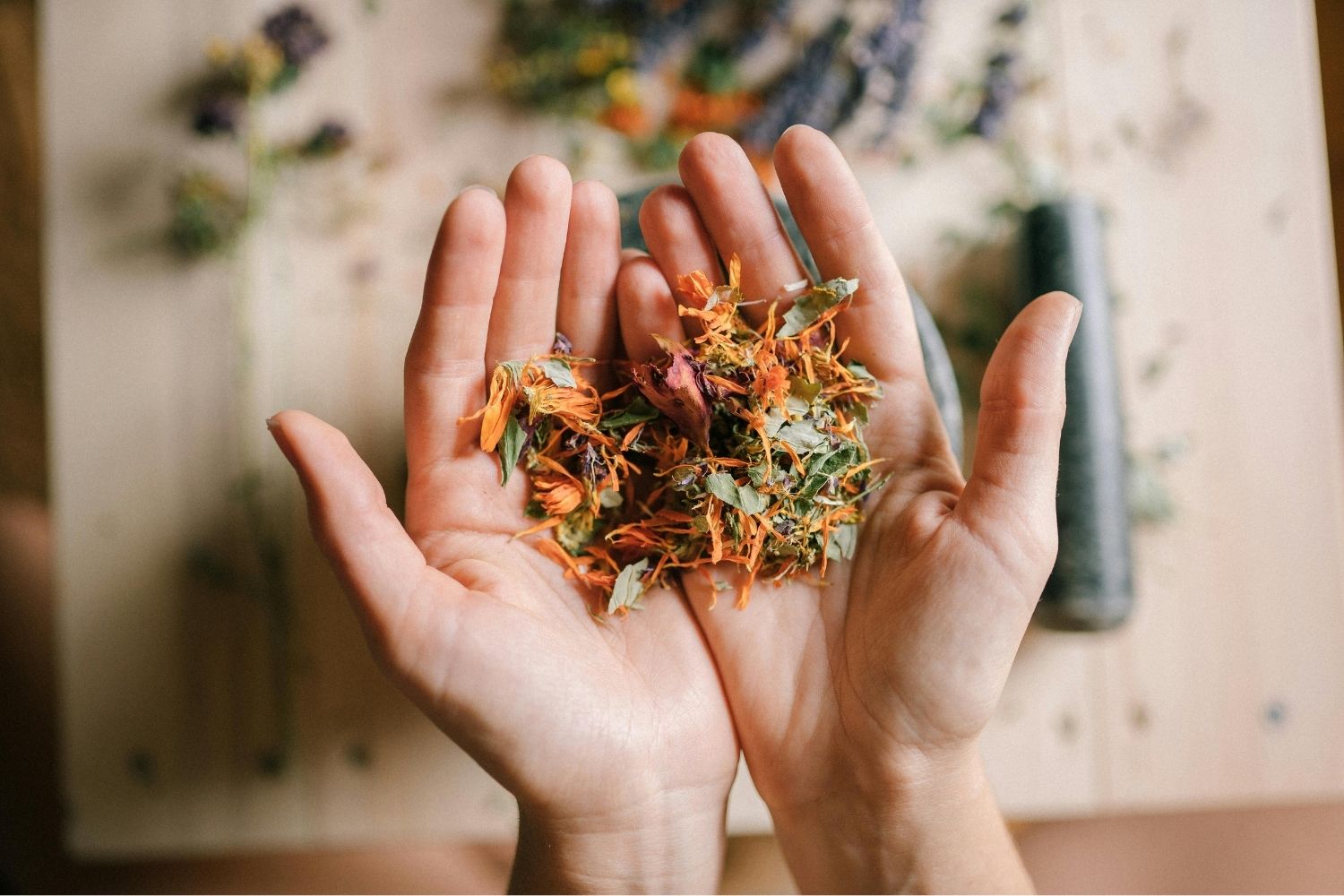 Naturopathe qui tient des plantes aromatiques dans ses mains